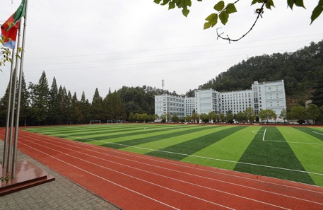 神農(nóng)架人造草坪球場